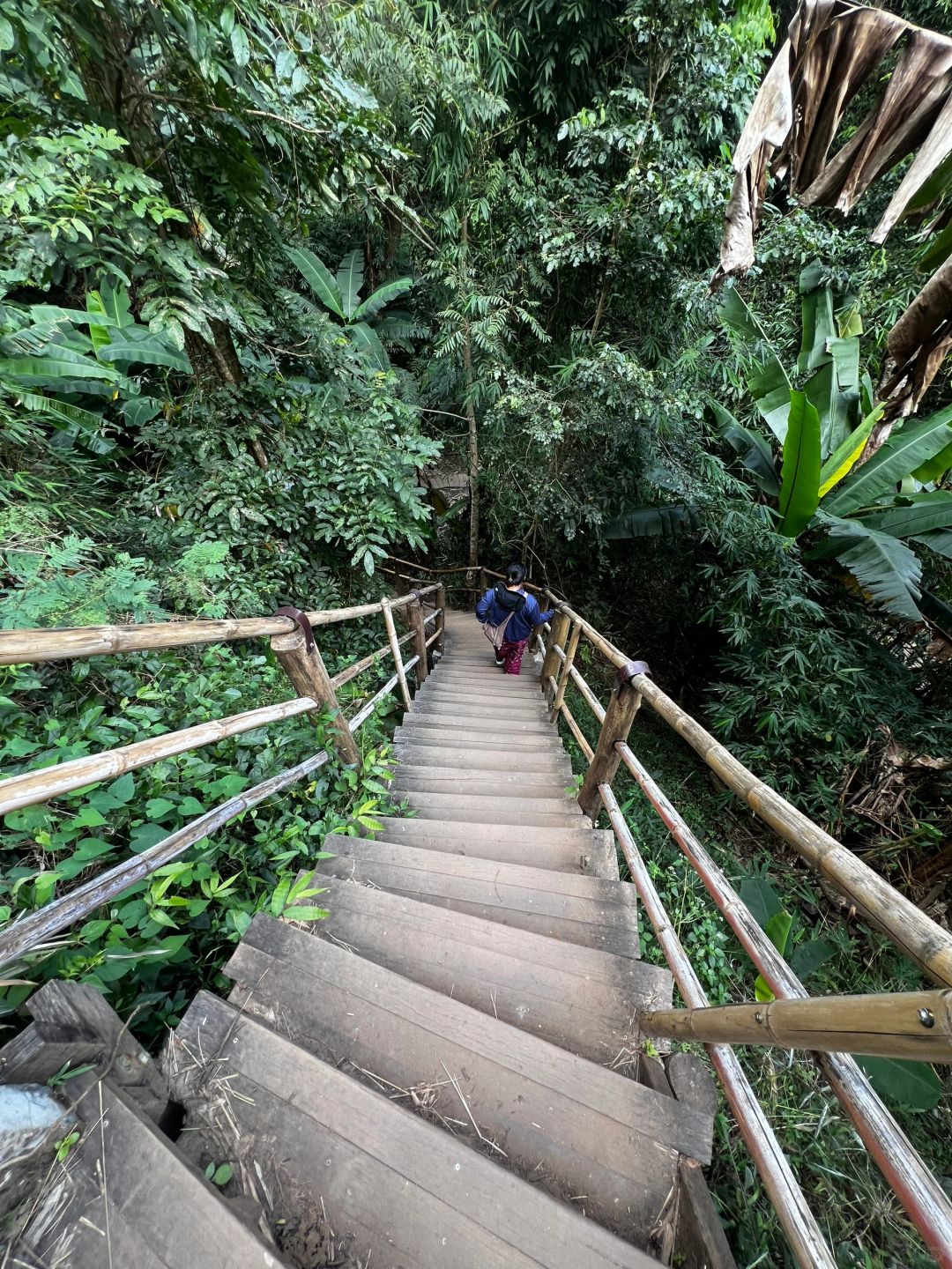 Chiang Mai-Chiang Mai Doi Inthanon National Park, passing streams, waterfalls and rice fields