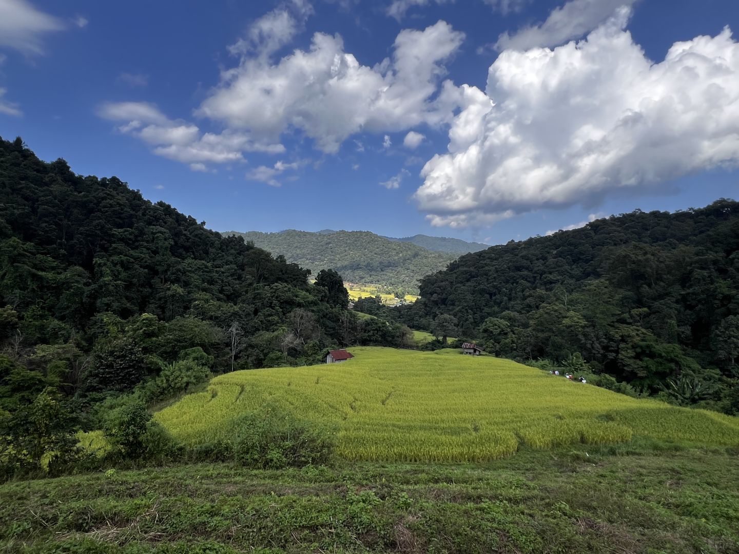 Chiang Mai-Chiang Mai Doi Inthanon National Park, passing streams, waterfalls and rice fields