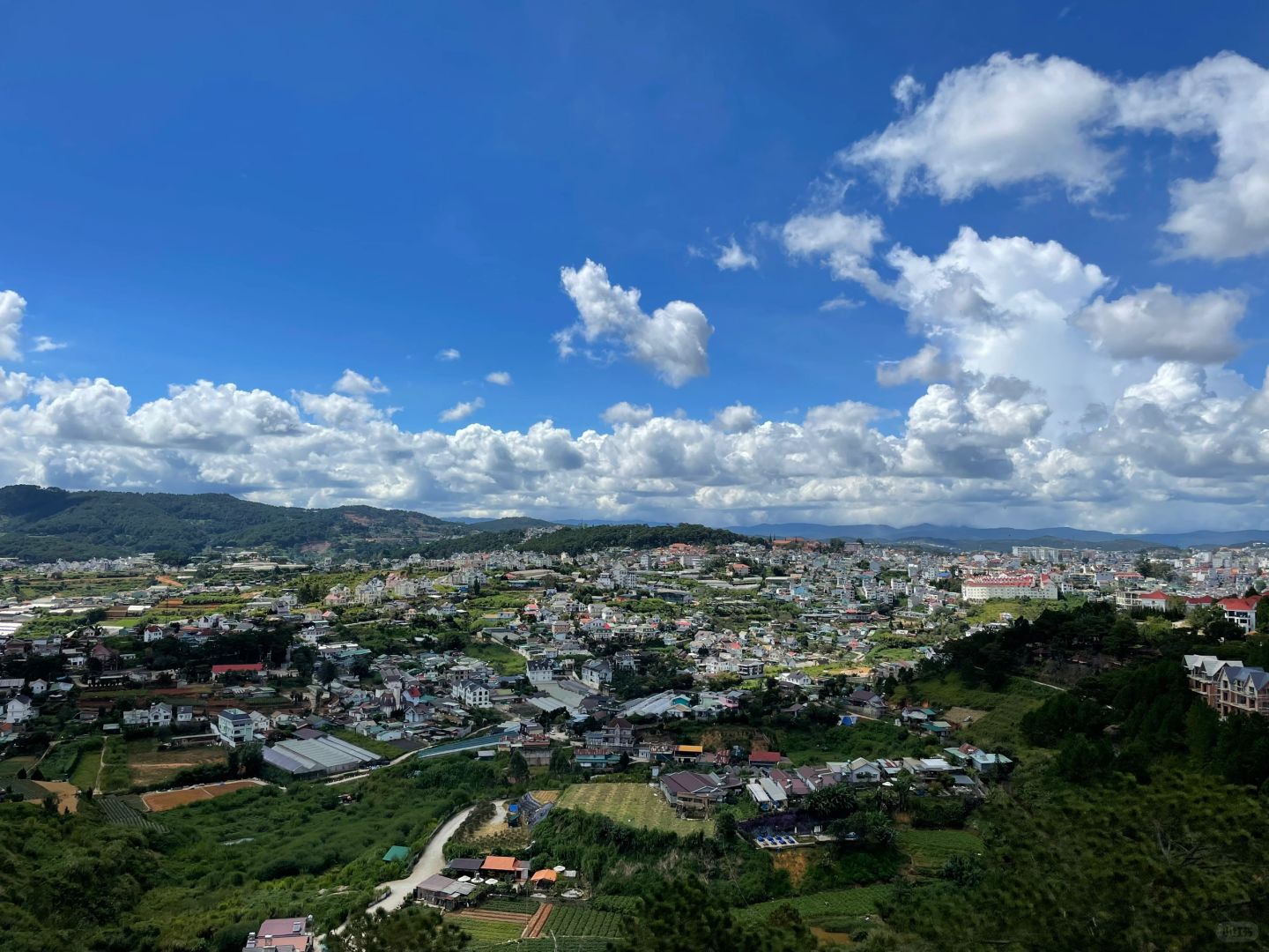 Hanoi-Bamboo Forest Monastery in Dalat, Hanoi, Vietnam, Quiet place hidden in the mountains