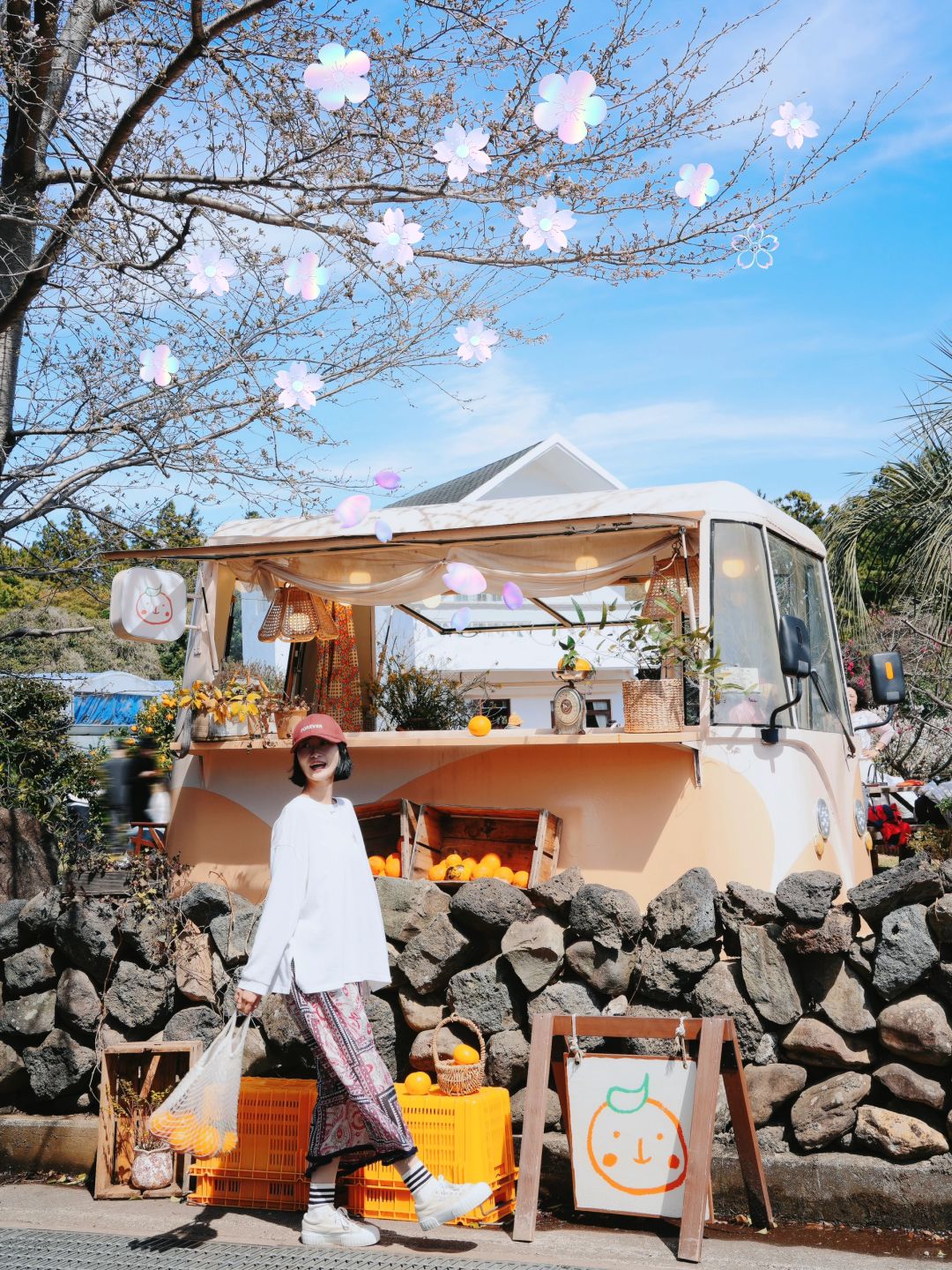 Busan/Jeju-Enjoy the cherry blossoms in Jeju Island, and you will be pink girl style wherever you go