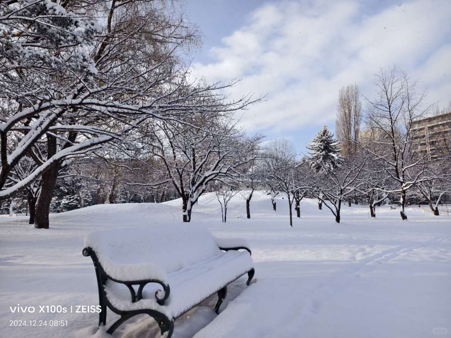 Sapporo/Hokkaido-Sapporo Nakajima Park, making beautiful snowmen and many people walking their dogs