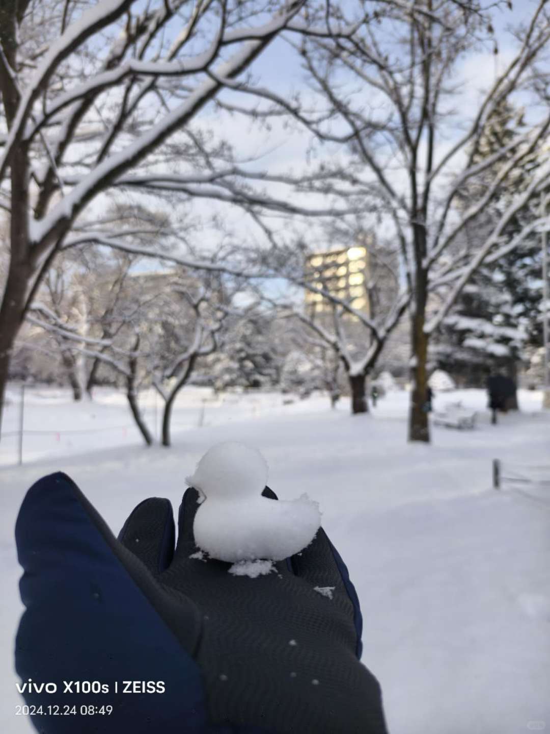 Sapporo/Hokkaido-Sapporo Nakajima Park, making beautiful snowmen and many people walking their dogs