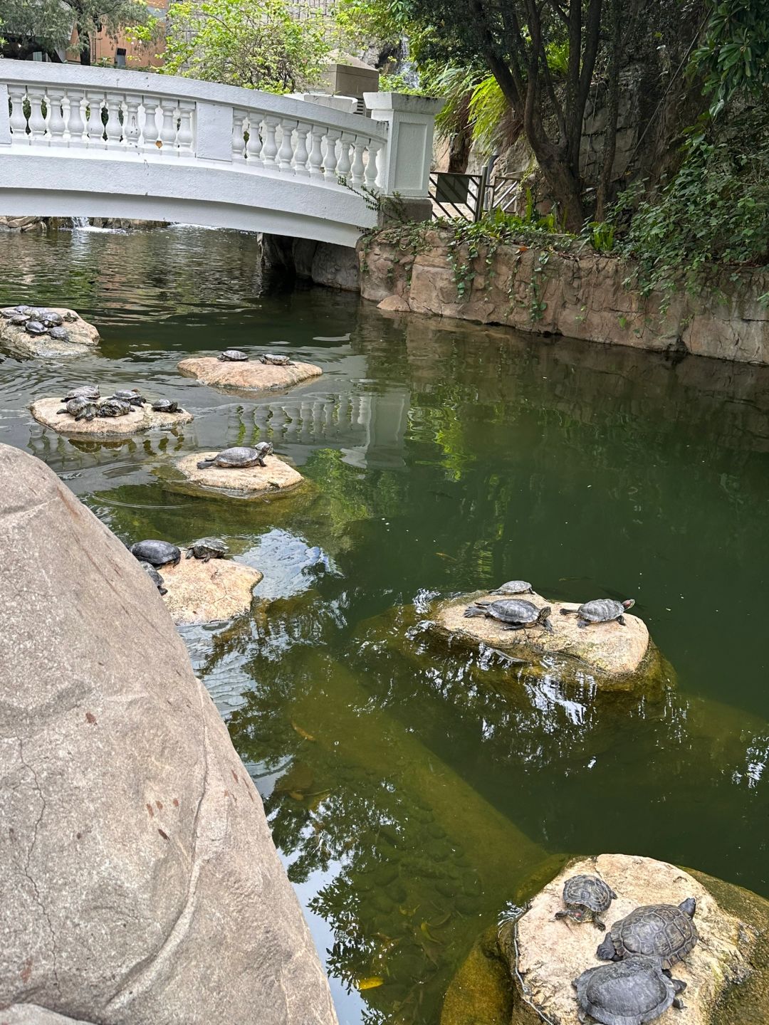 Hong kong-Hong Kong Park, introducing the production process of tea and teaware in Chinese history