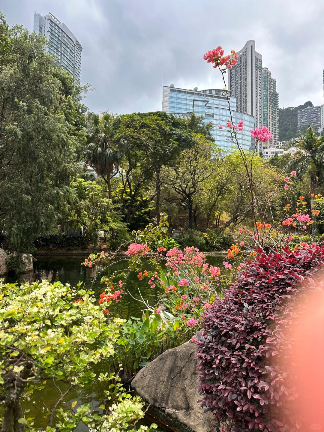 Hong kong-Hong Kong Park, introducing the production process of tea and teaware in Chinese history