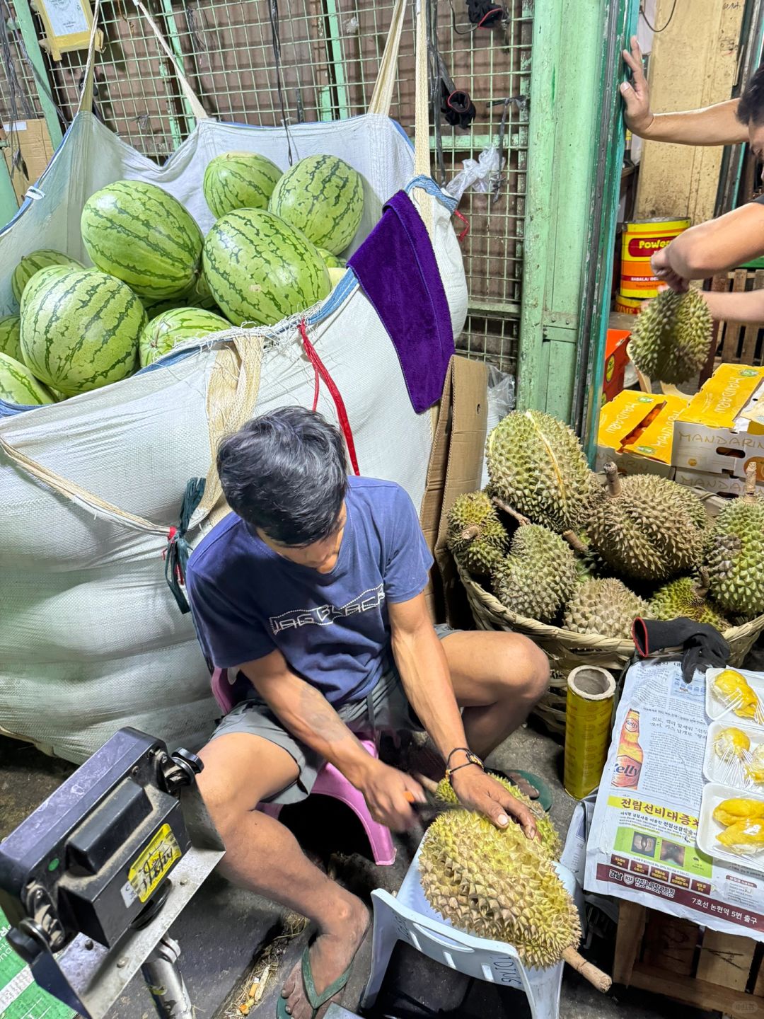 Cebu-Cebu Island Hopping Charter Boat Eating Mantis Shrimp Snorkeling/Eating Durian in the Market