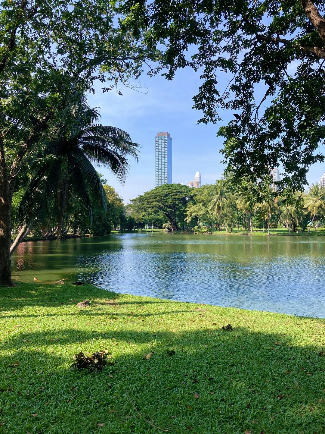 Bangkok-Lumpini Park in Bangkok, a model of harmony between people, nature and the city