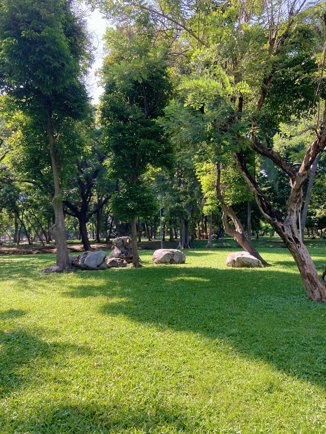 Bangkok-Lumpini Park in Bangkok, a model of harmony between people, nature and the city