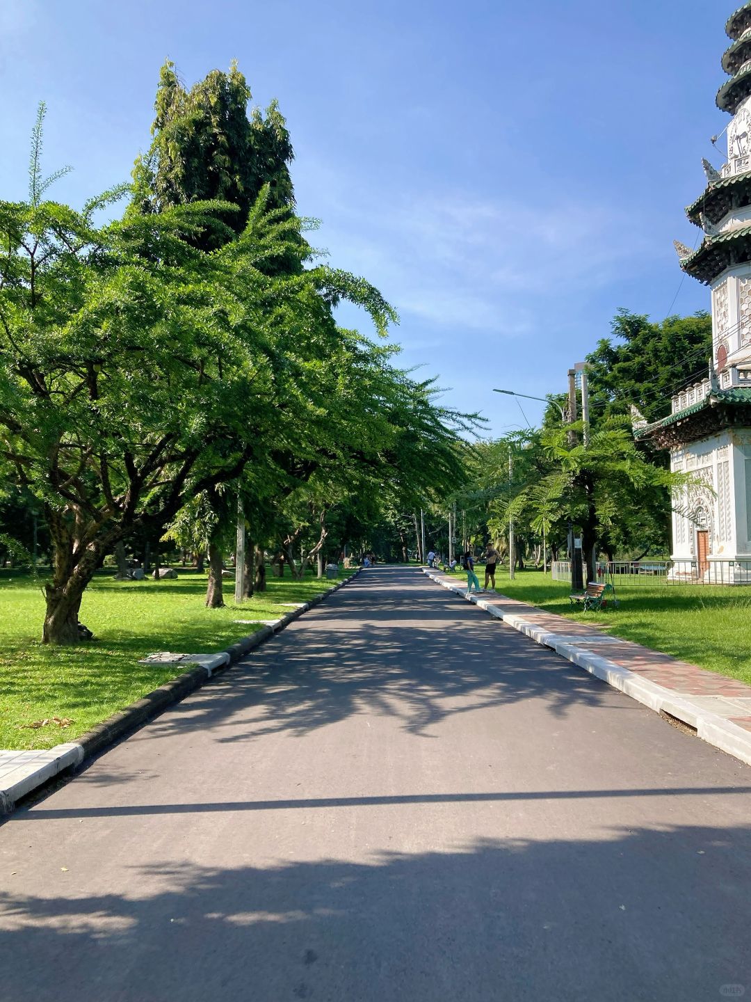 Bangkok-Lumpini Park in Bangkok, a model of harmony between people, nature and the city