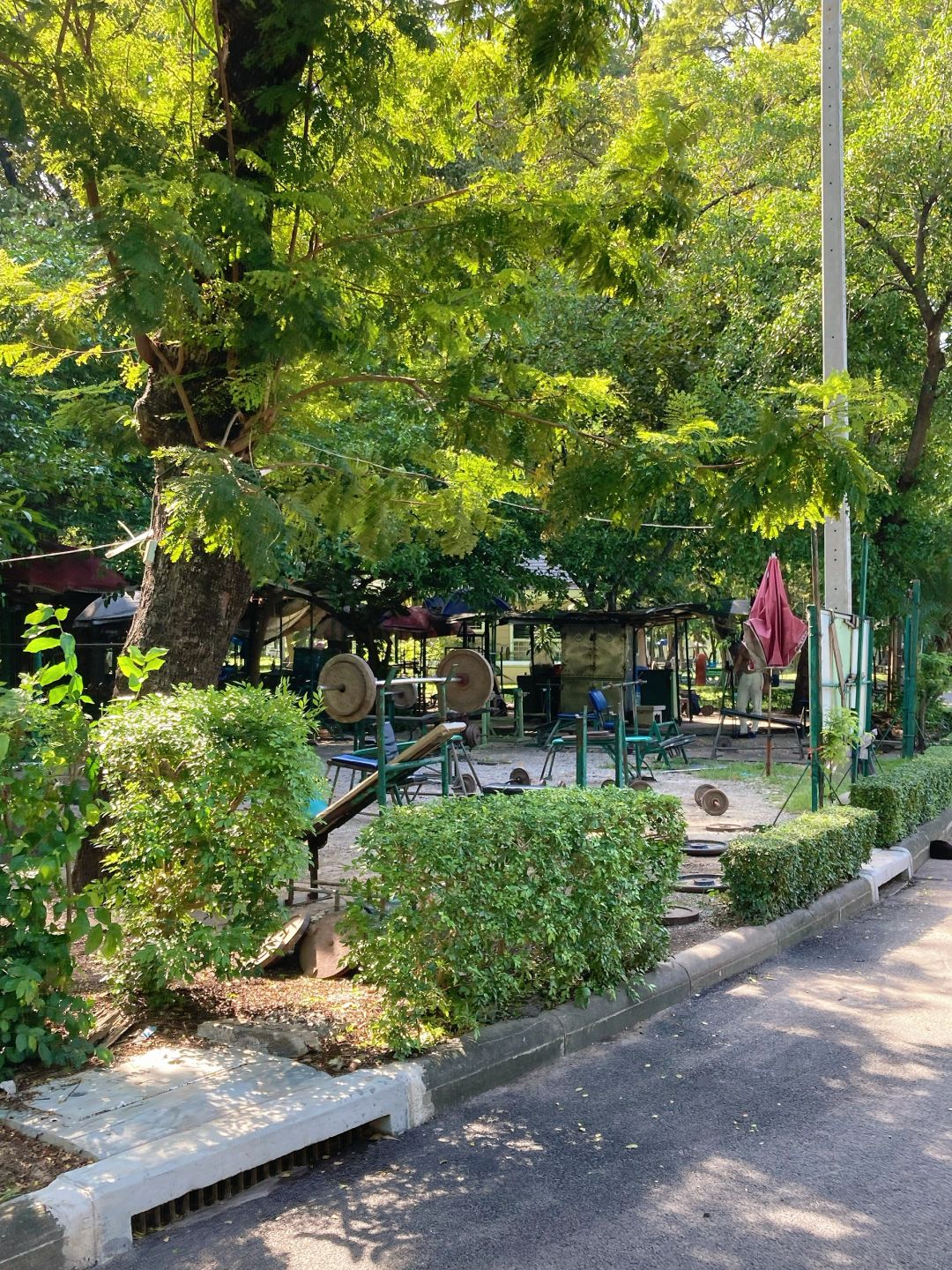 Bangkok-Lumpini Park in Bangkok, a model of harmony between people, nature and the city