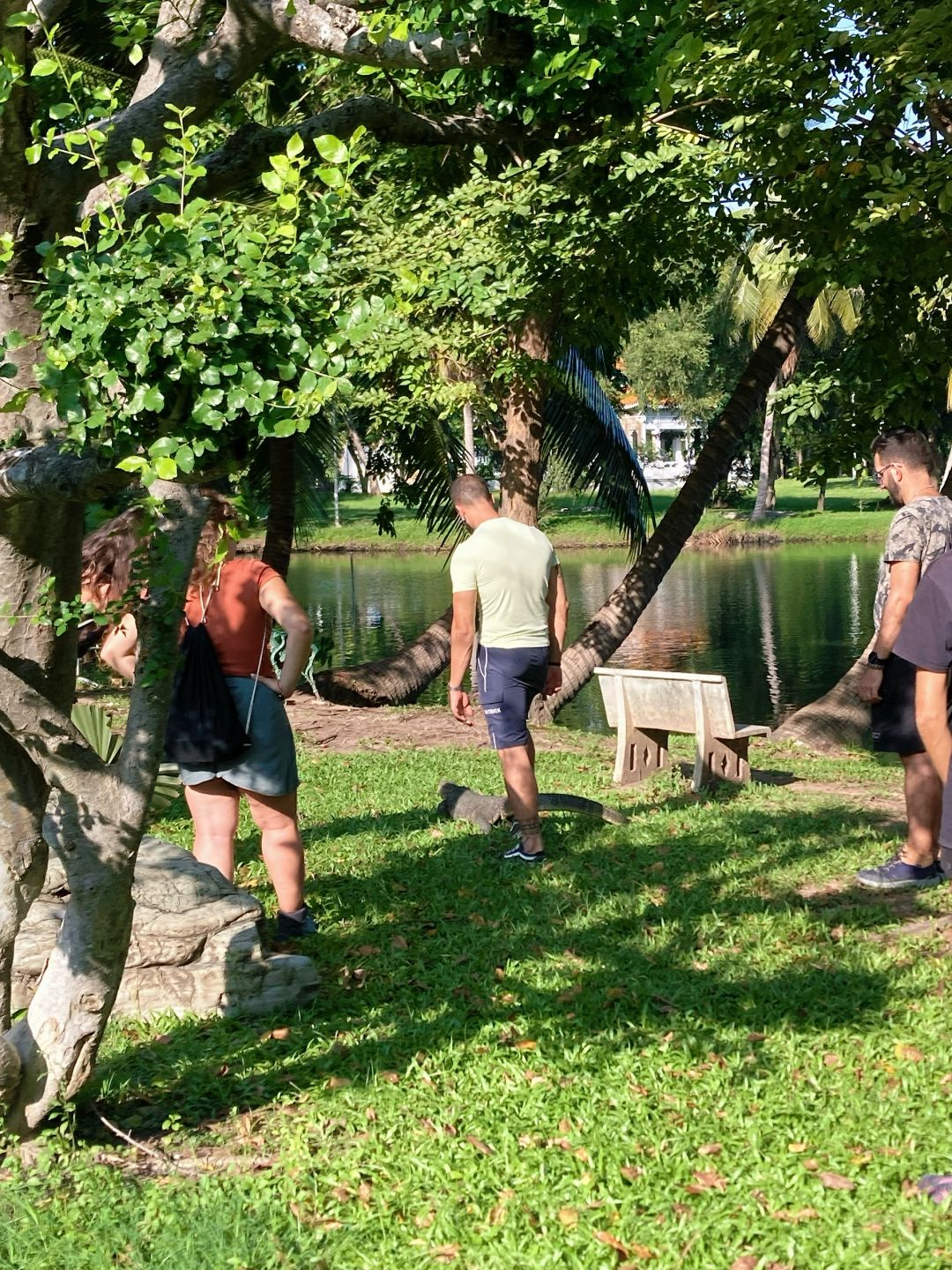 Bangkok-Lumpini Park in Bangkok, a model of harmony between people, nature and the city