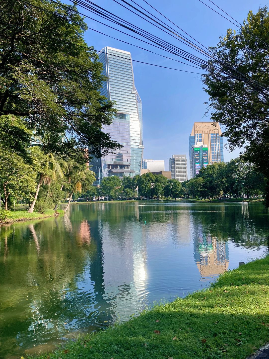 Bangkok-Lumpini Park in Bangkok, a model of harmony between people, nature and the city