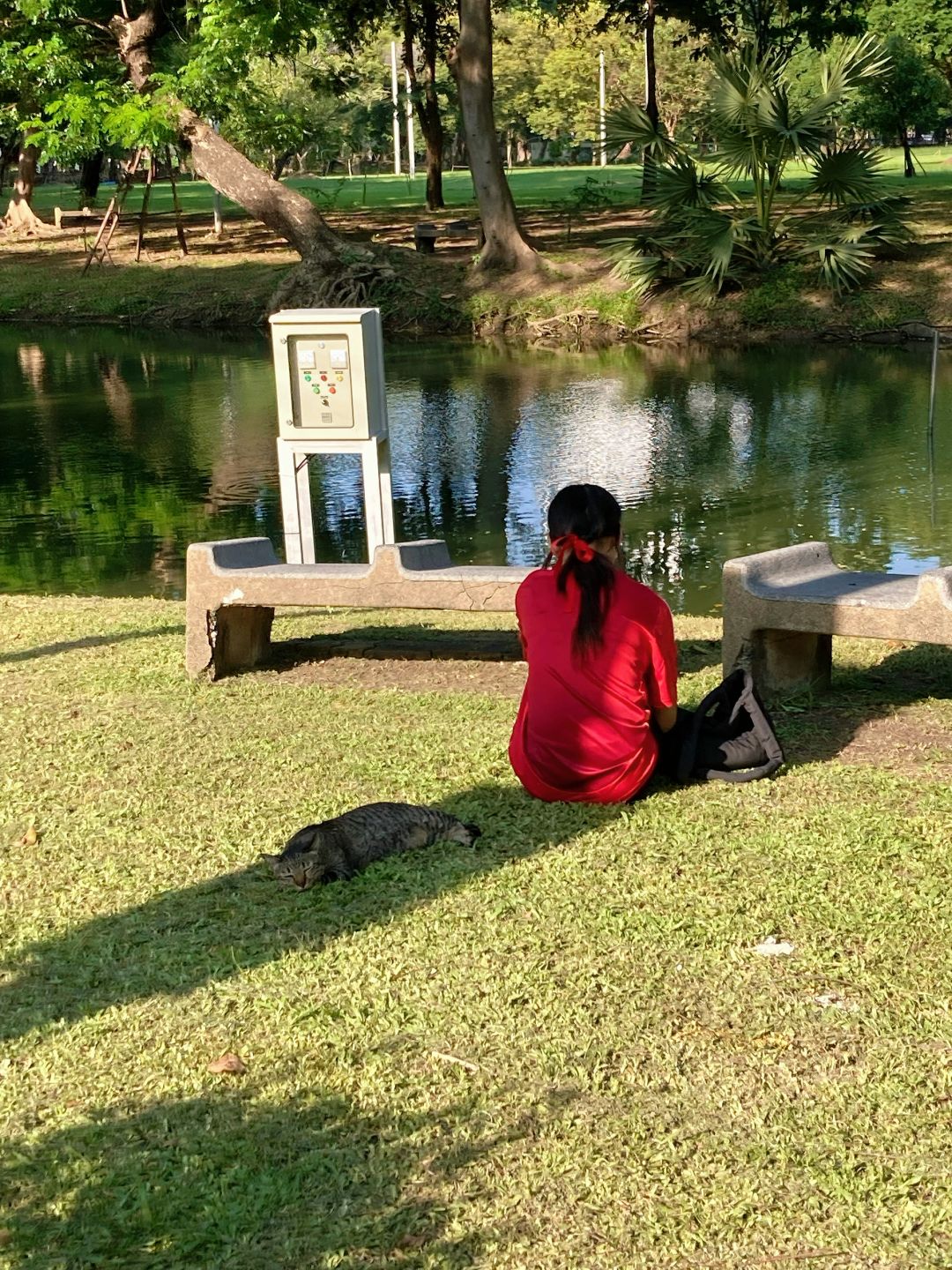 Bangkok-Lumpini Park in Bangkok, a model of harmony between people, nature and the city