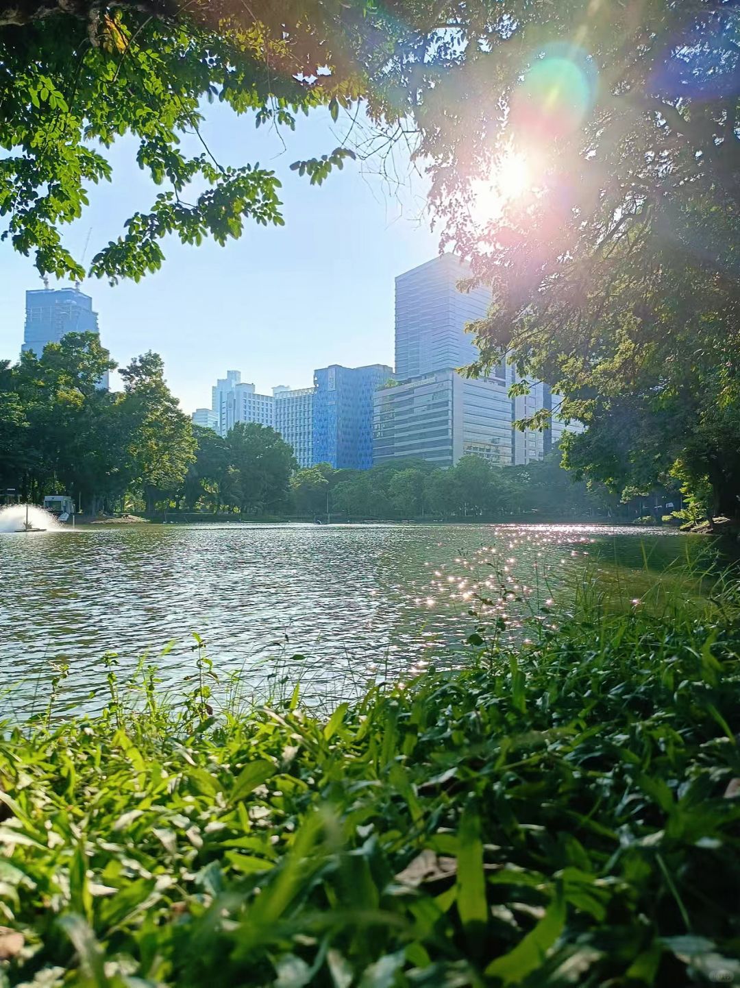 Bangkok-Lumpini Park in Bangkok, a model of harmony between people, nature and the city