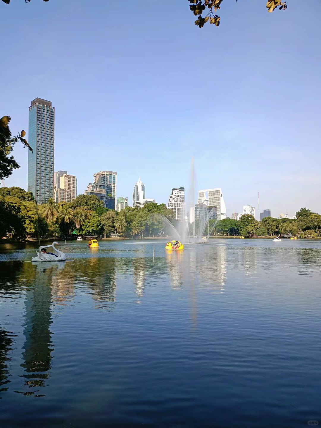 Bangkok-Lumpini Park in Bangkok, a model of harmony between people, nature and the city