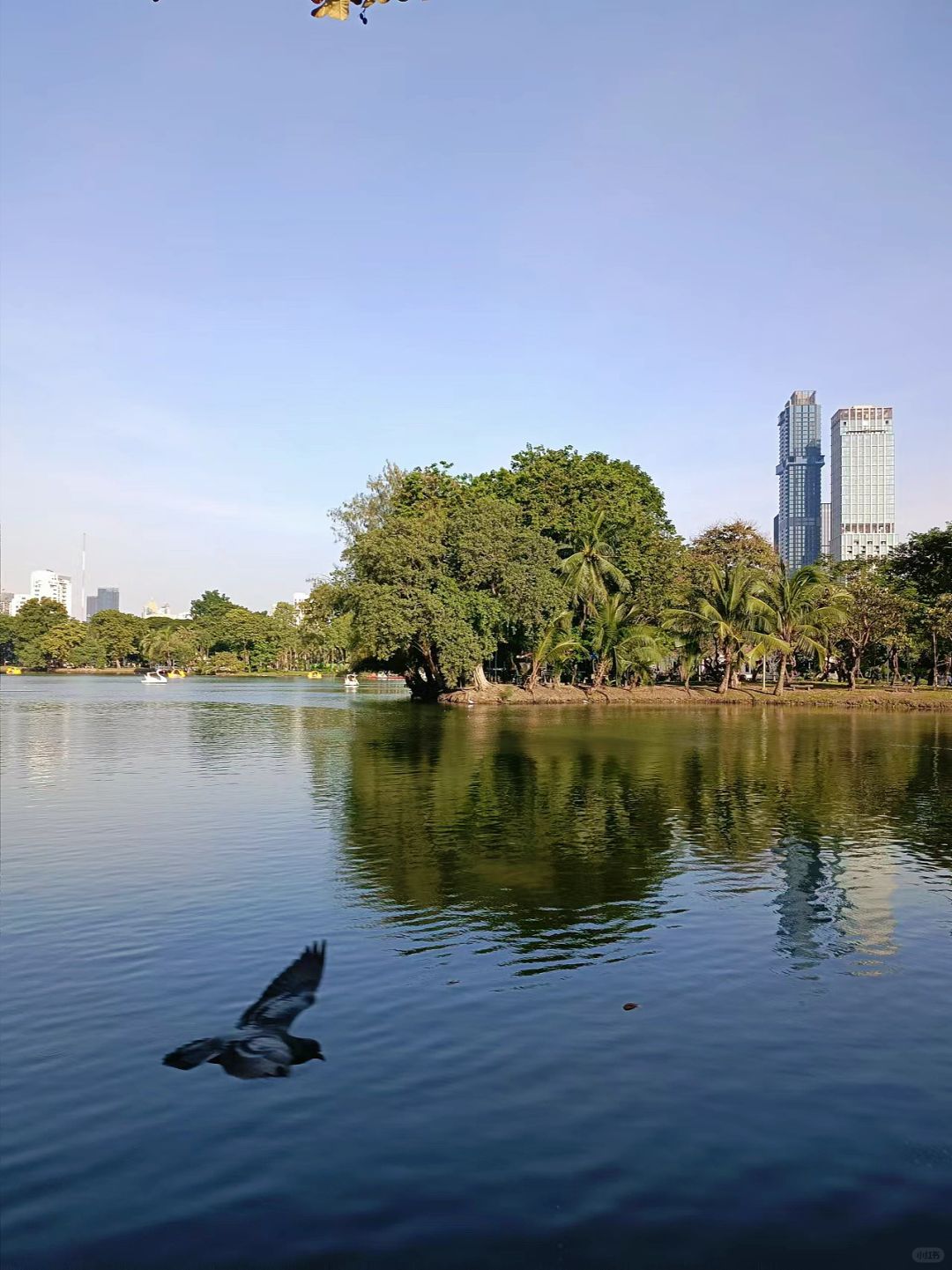 Bangkok-Lumpini Park in Bangkok, a model of harmony between people, nature and the city