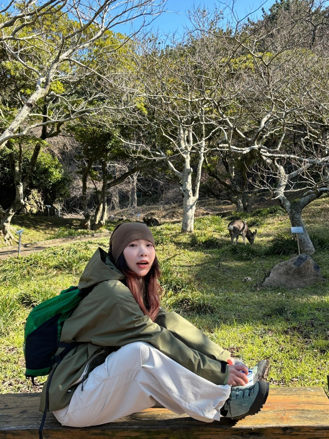 Busan/Jeju-Walking in Halla Arboretum on Jeju Island, I was lucky enough to encounter a wild deer