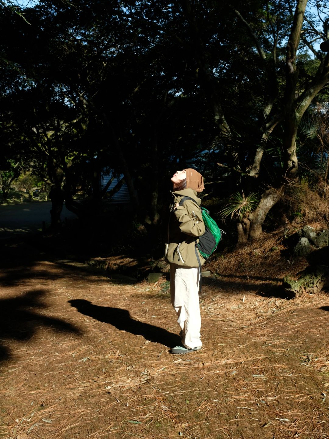 Busan/Jeju-Walking in Halla Arboretum on Jeju Island, I was lucky enough to encounter a wild deer