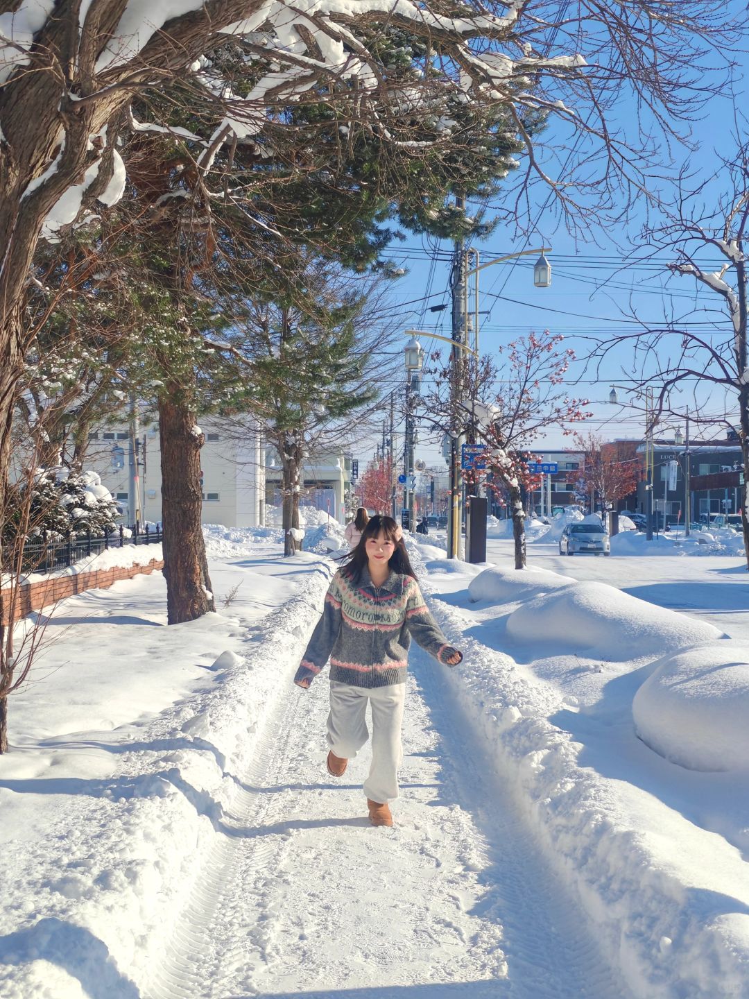 Sapporo/Hokkaido-It was snowing heavily in Asahikawa Palace Park, 🤍and there was no one there