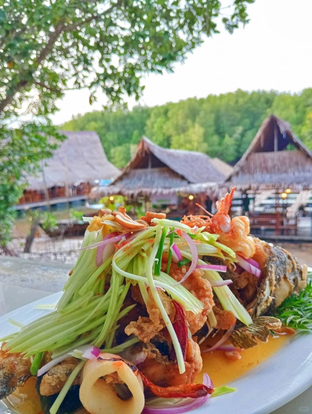 Krabi-Kanabnam view restaurant & fish farm in Krabi, floating seafood restaurant on the river