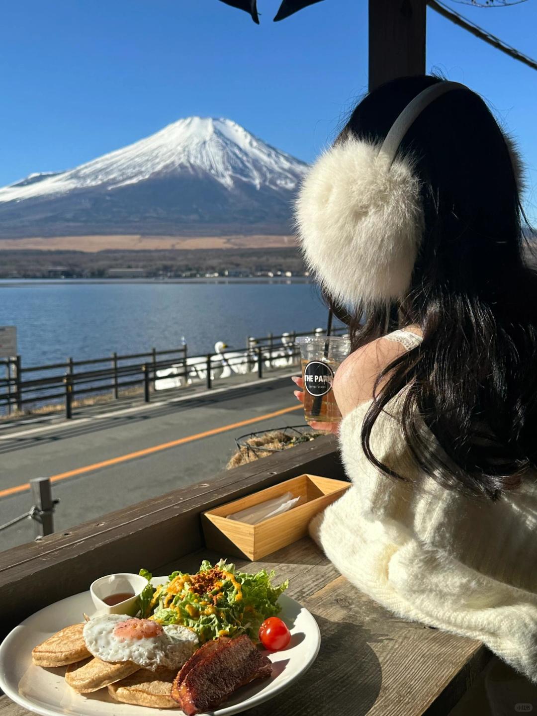 Tokyo-Traveling in Tokyo, collecting different angles of Mount Fuji, it is beautiful all year round