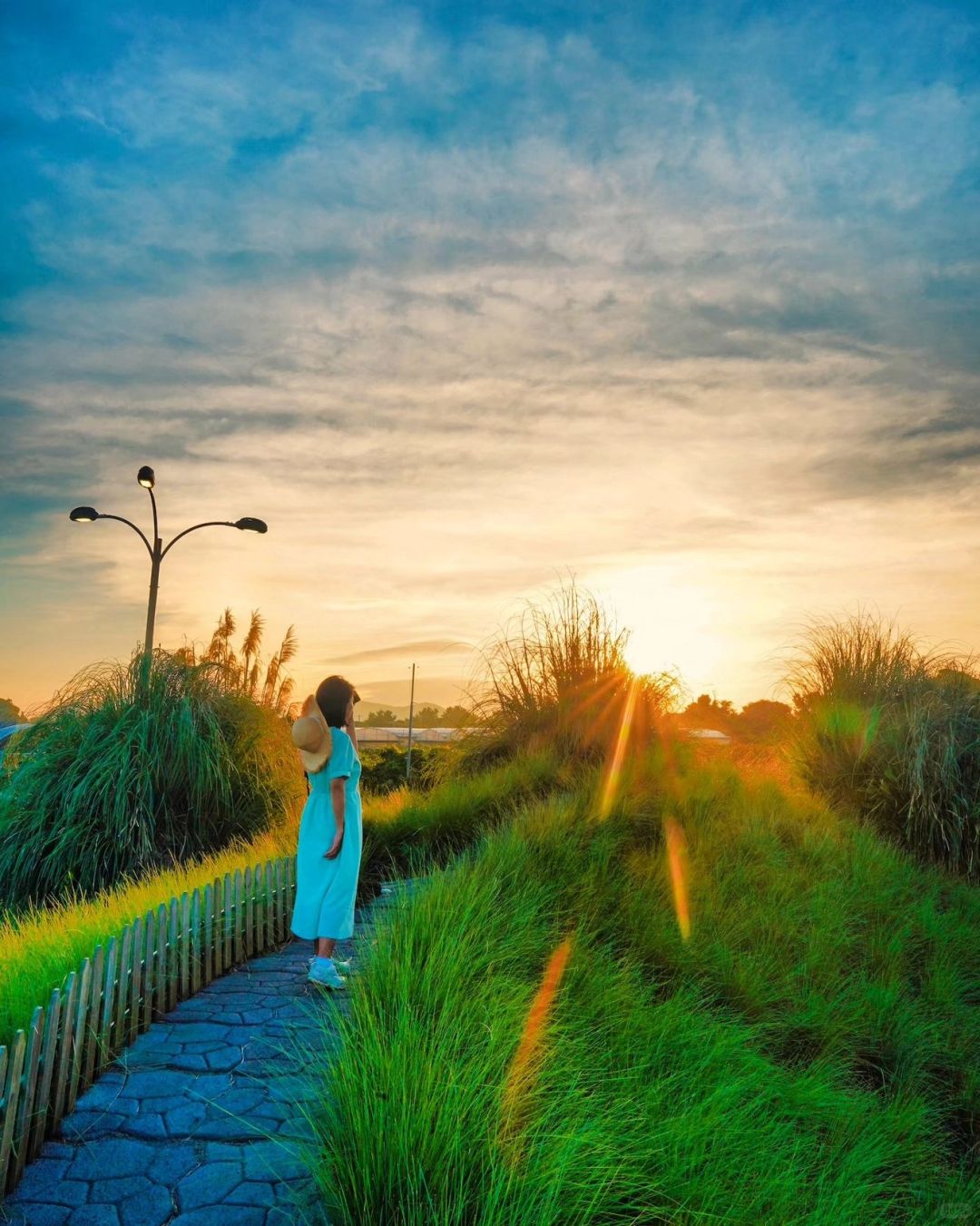 Busan/Jeju-Jeju Island Hub Park, 📝cool breeze at night, shuttle through the herb garden