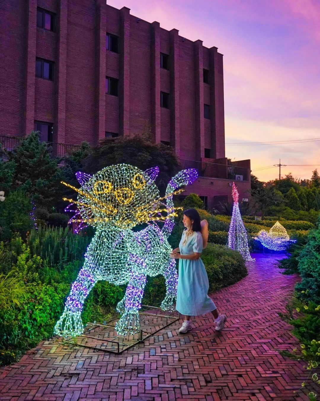 Busan/Jeju-Jeju Island Hub Park, ?cool breeze at night, shuttle through the herb garden