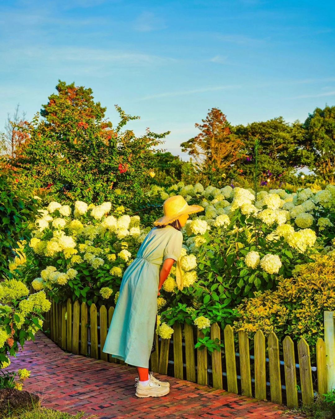 Busan/Jeju-Jeju Island Hub Park, ?cool breeze at night, shuttle through the herb garden