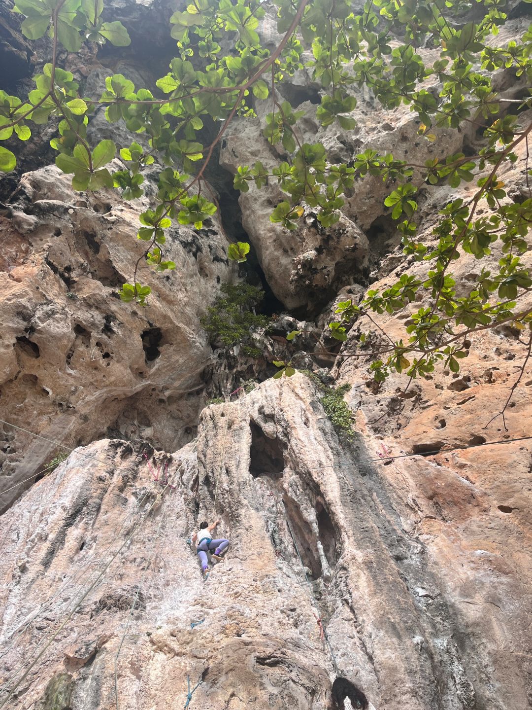 Krabi-The special thing about the trip to Krabi is that a world-famous rock climbing destination