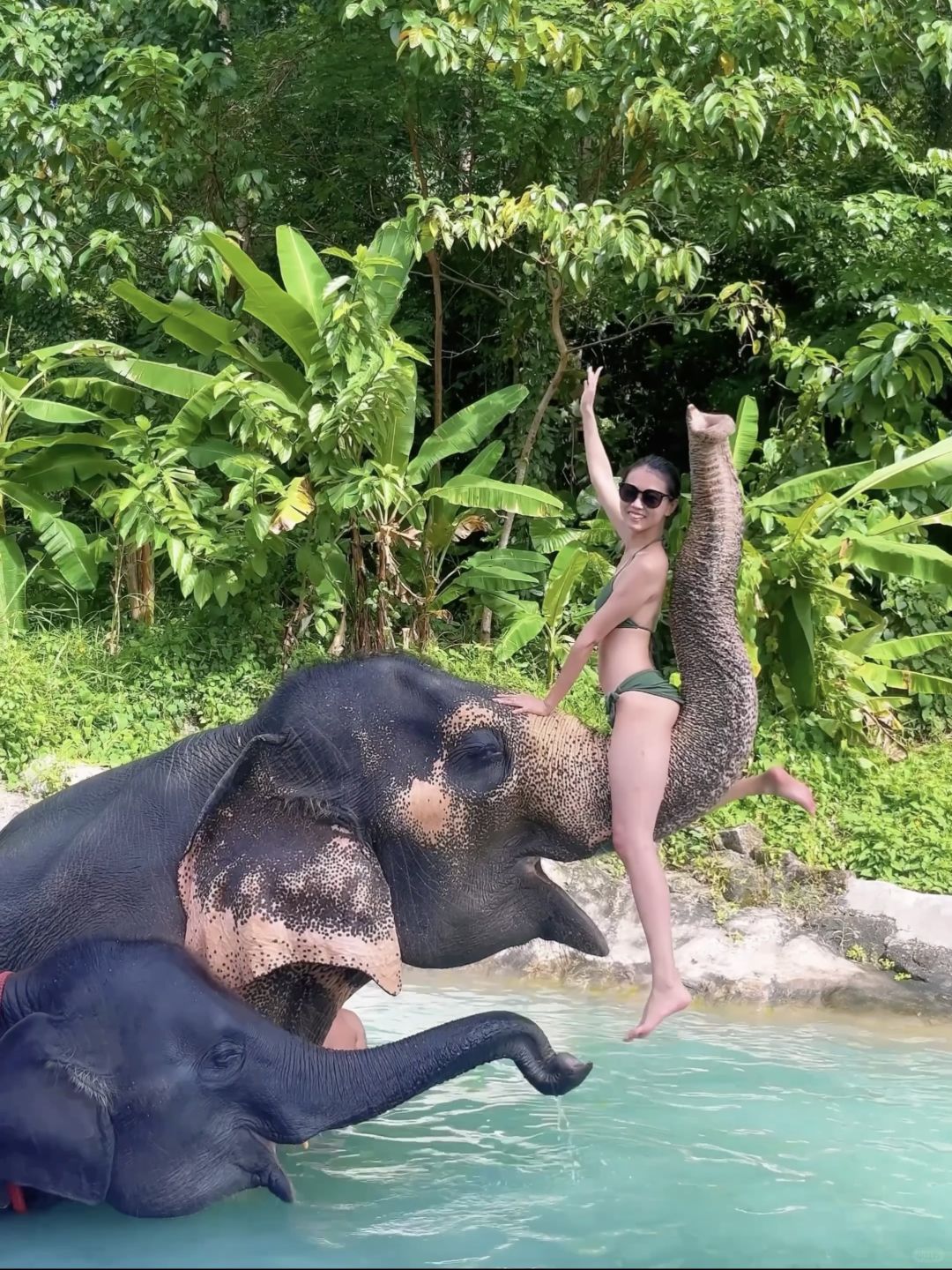 Phuket-Amazing experience in Phuket, Thailand, Feeding and bathing elephants in the rainforest