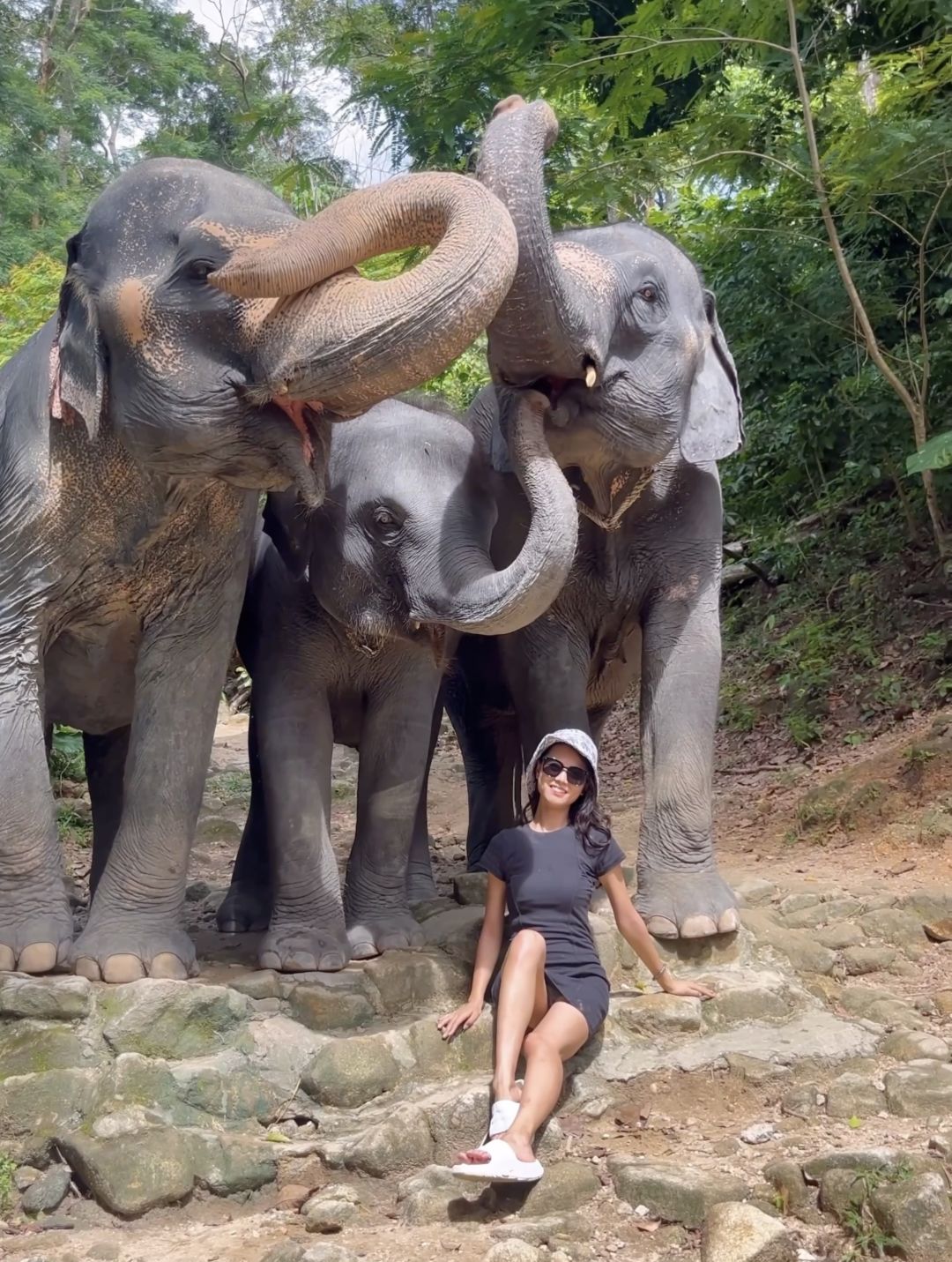 Phuket-Amazing experience in Phuket, Thailand, Feeding and bathing elephants in the rainforest