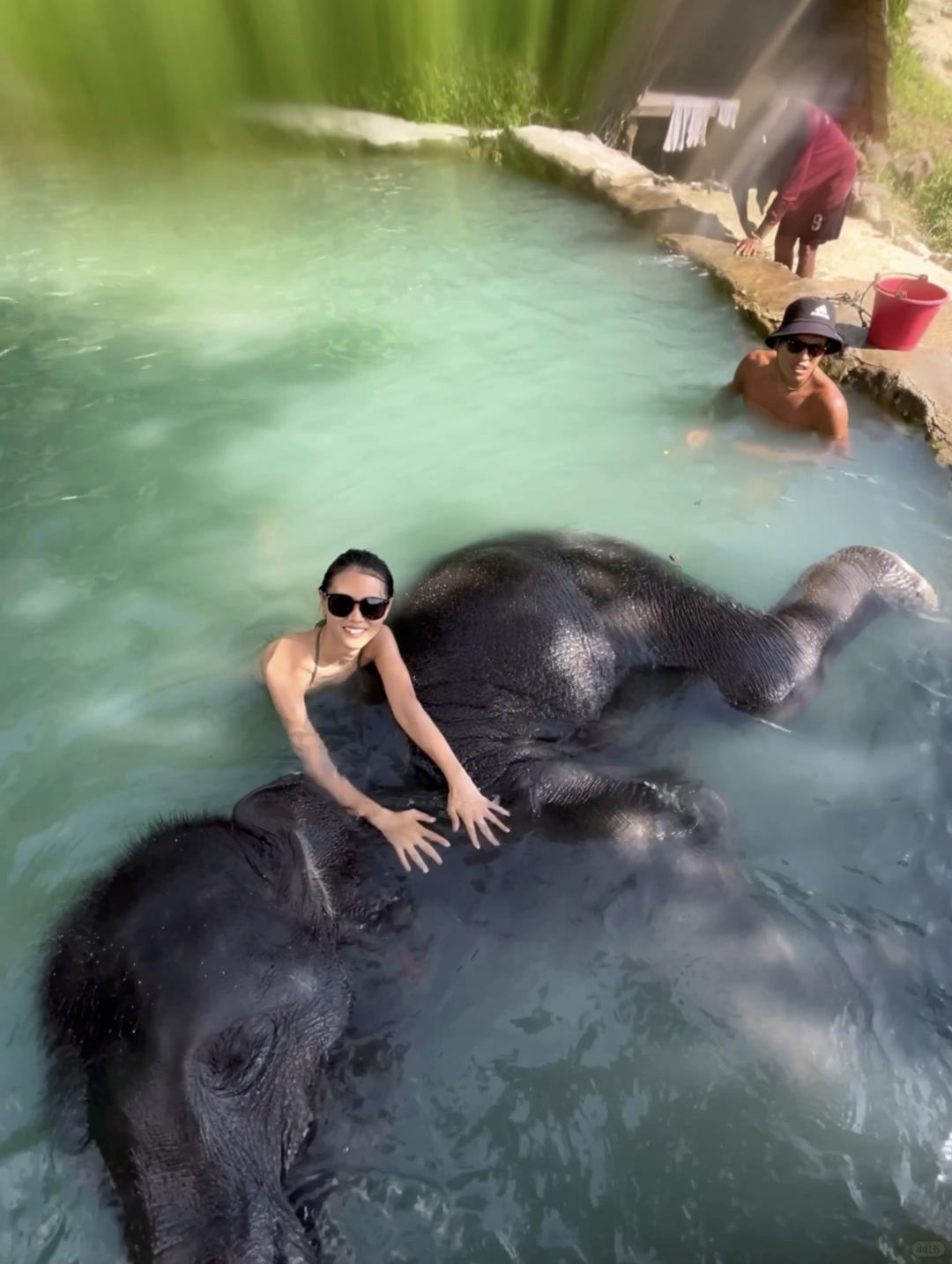 Phuket-Amazing experience in Phuket, Thailand, Feeding and bathing elephants in the rainforest