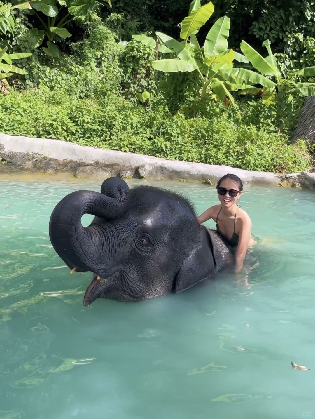 Phuket-Amazing experience in Phuket, Thailand, Feeding and bathing elephants in the rainforest