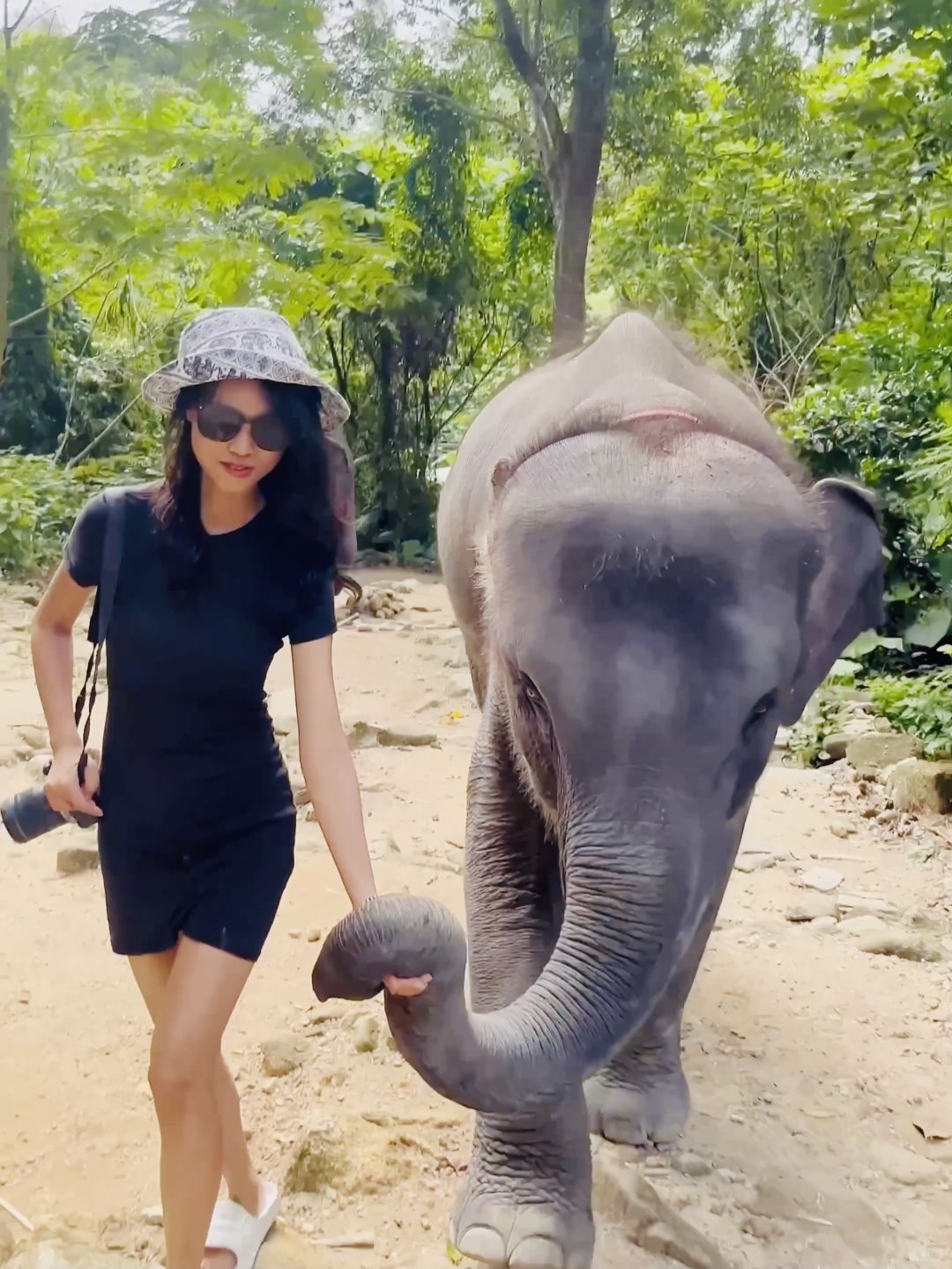 Phuket-Amazing experience in Phuket, Thailand, Feeding and bathing elephants in the rainforest