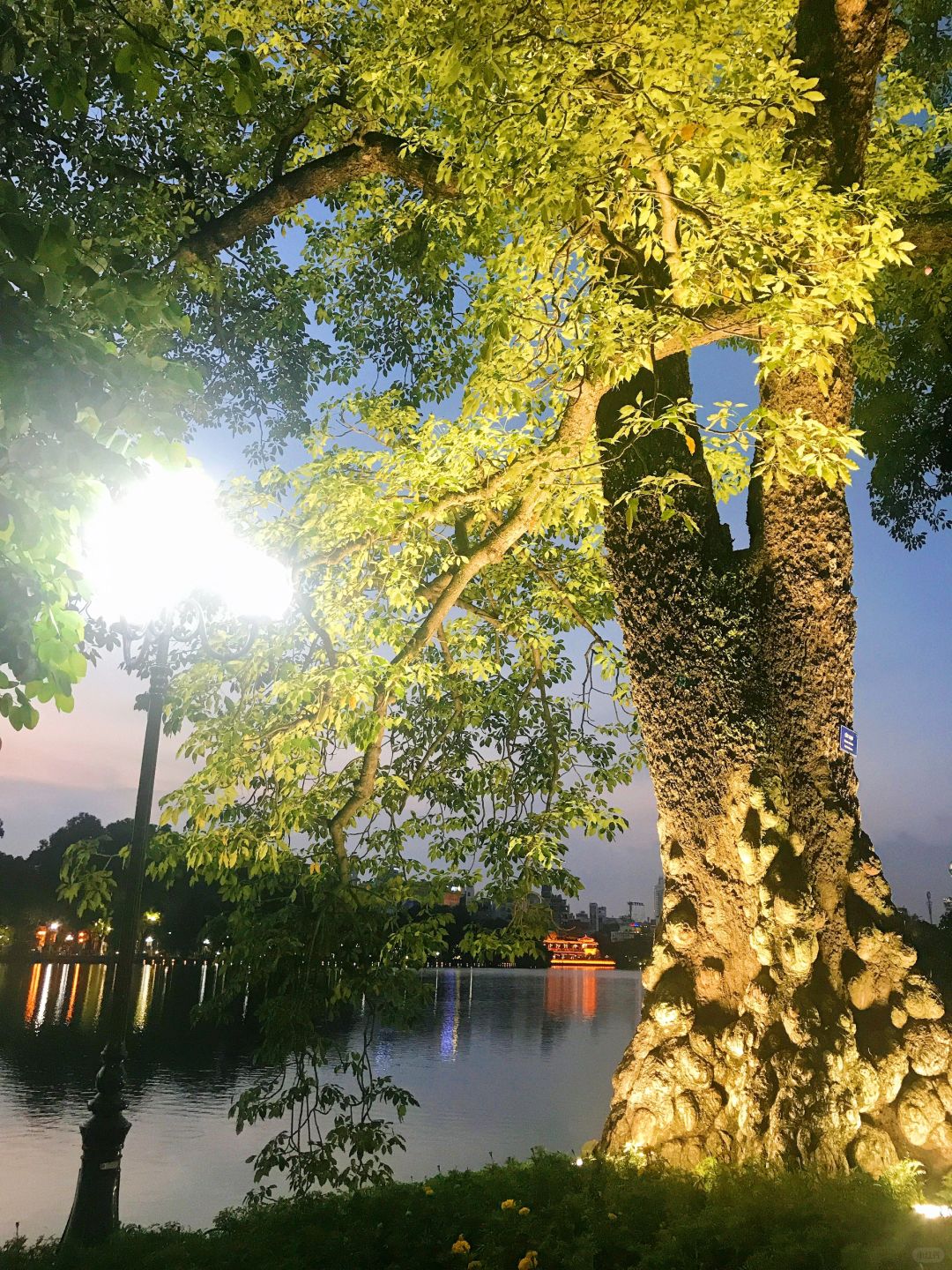 Hanoi-Hoan Kiem Lake Park in Hanoi, Vietnam, the lake is as clear mirror and the trees are lush