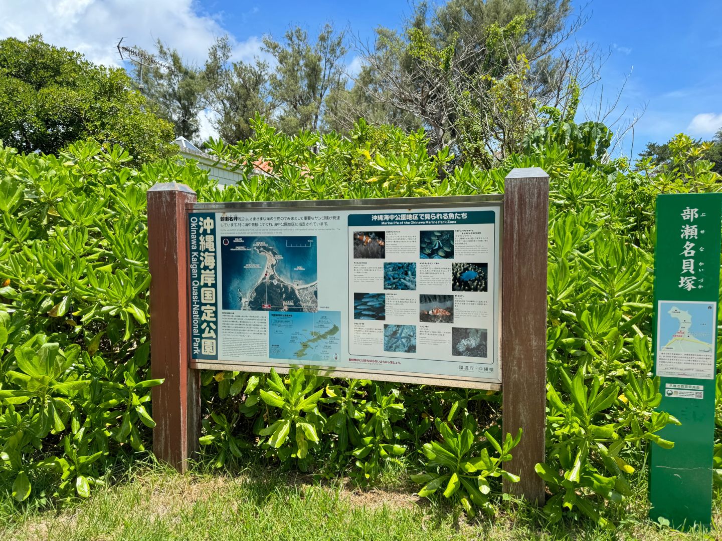 Okinawa-Okinawa Marine Park, where you can watch fish on Pikachu glass boat, the scenery is beautiful