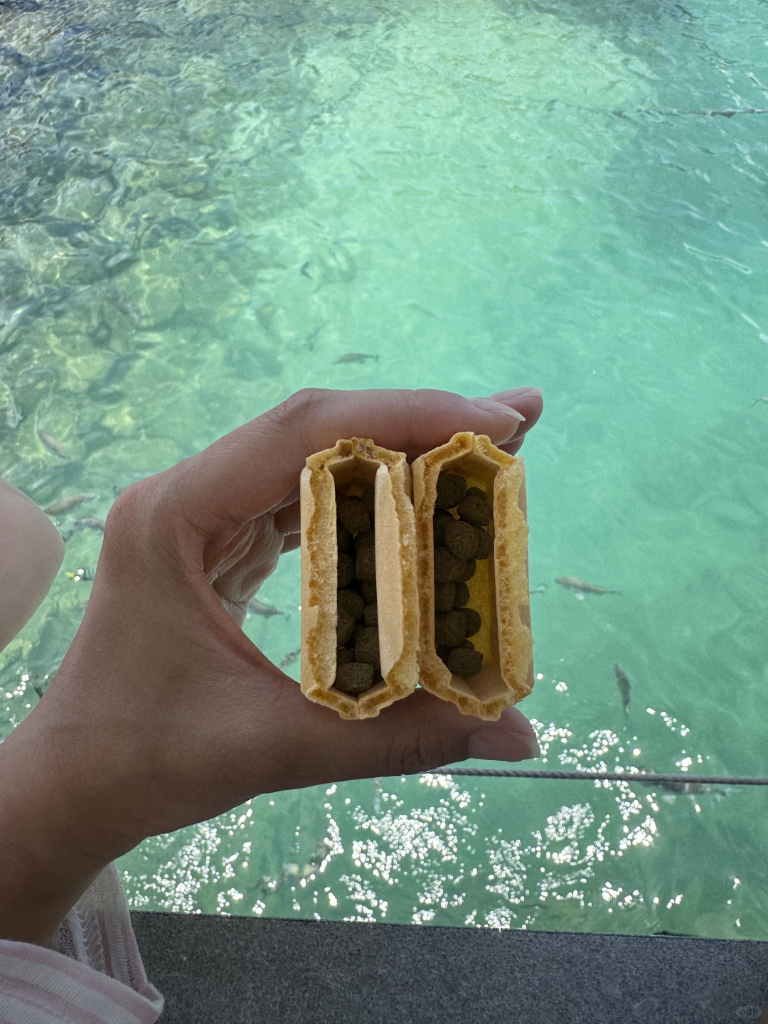 Okinawa-Okinawa Marine Park, where you can watch fish on Pikachu glass boat, the scenery is beautiful