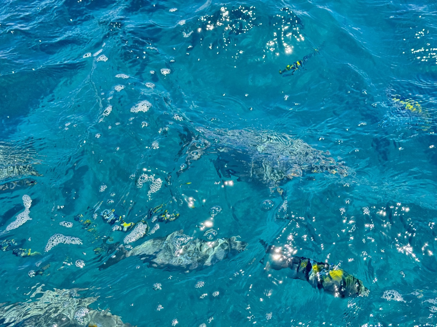 Okinawa-Okinawa Marine Park, where you can watch fish on Pikachu glass boat, the scenery is beautiful