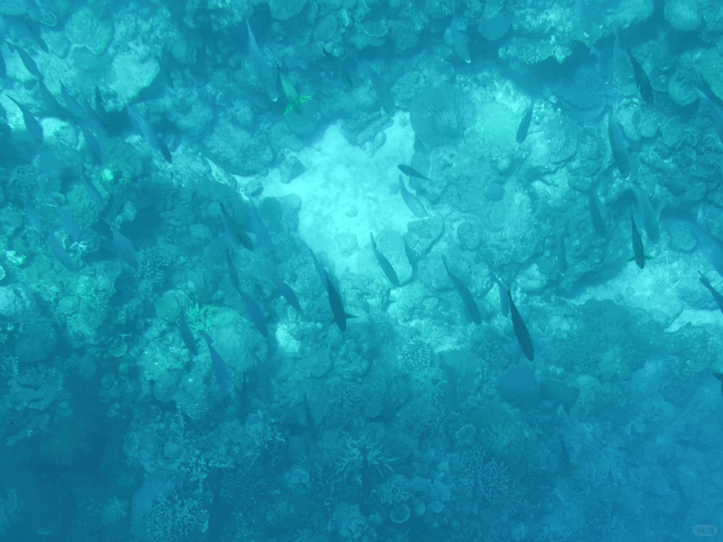 Okinawa-Okinawa Marine Park, where you can watch fish on Pikachu glass boat, the scenery is beautiful