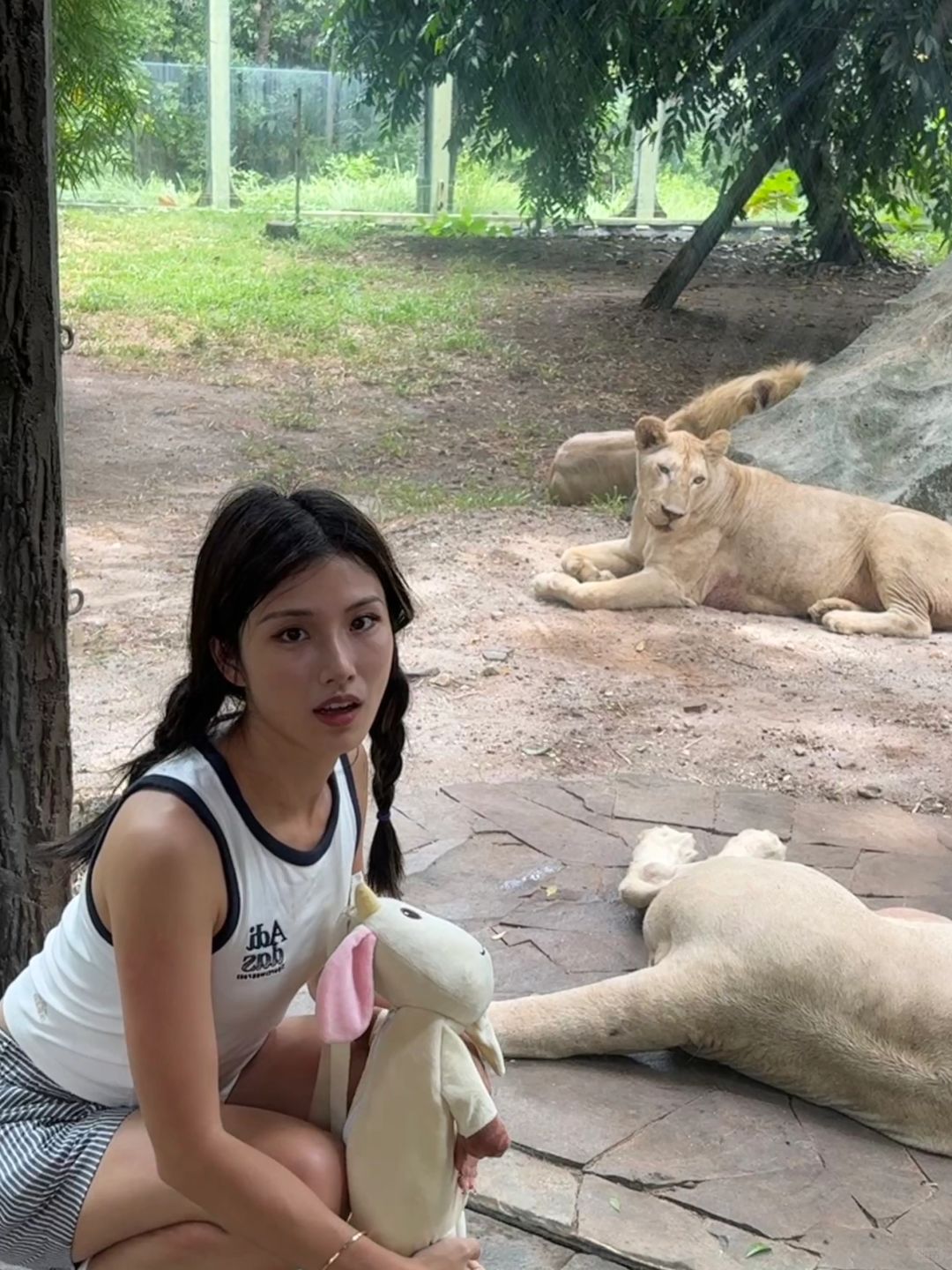 Jakarta-Ancol Zoo in Jakarta, Indonesia, 🐊where you can pet and take photos with many animals