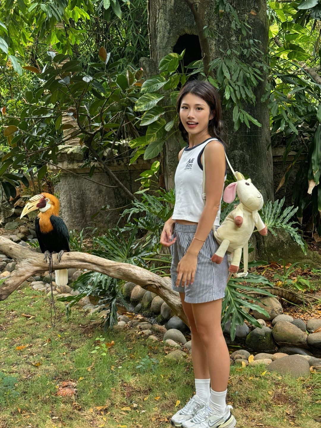 Jakarta-Ancol Zoo in Jakarta, Indonesia, 🐊where you can pet and take photos with many animals