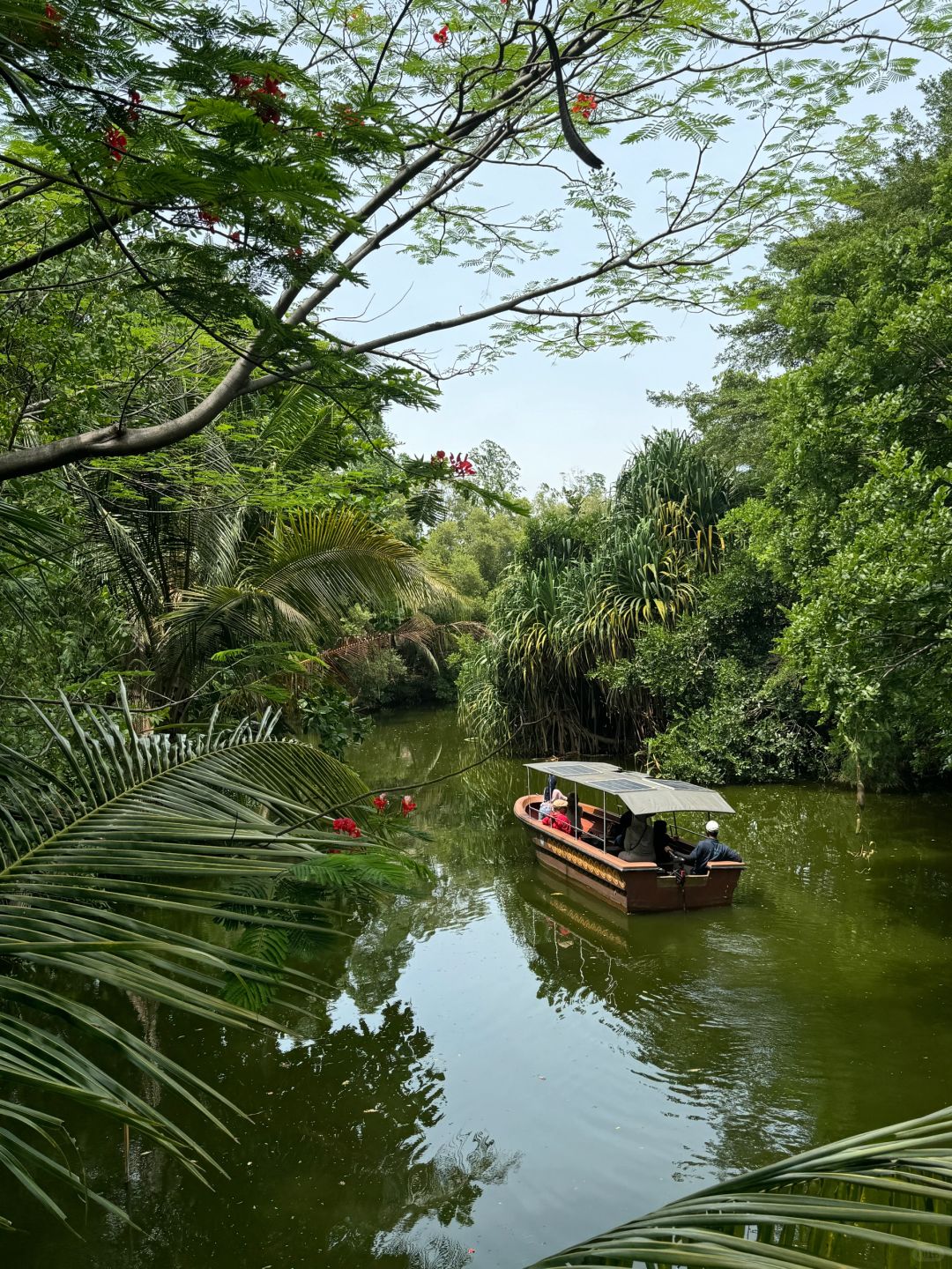 Jakarta-Ancol Zoo in Jakarta, Indonesia, 🐊where you can pet and take photos with many animals