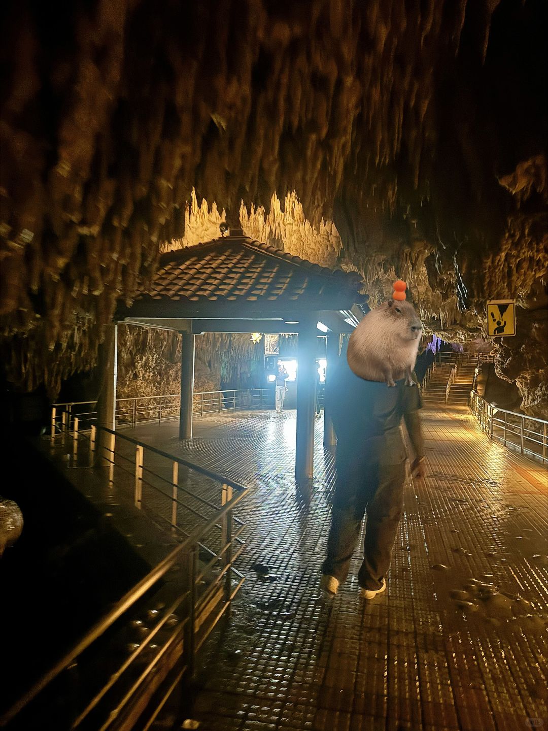 Okinawa-Gyokusen Cave in Okinawa, natural landscape stalactites, close to the center of the earth