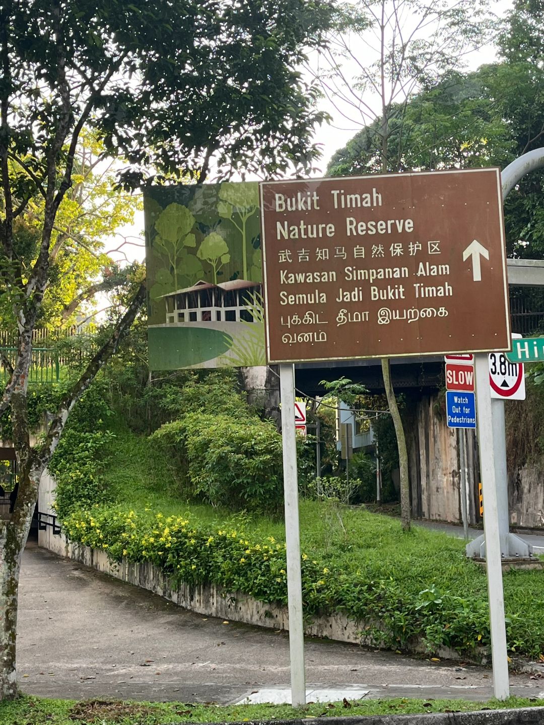 Singapore-Bukit Timah Hill | Singapore's highest mountain, fastest route to the summit