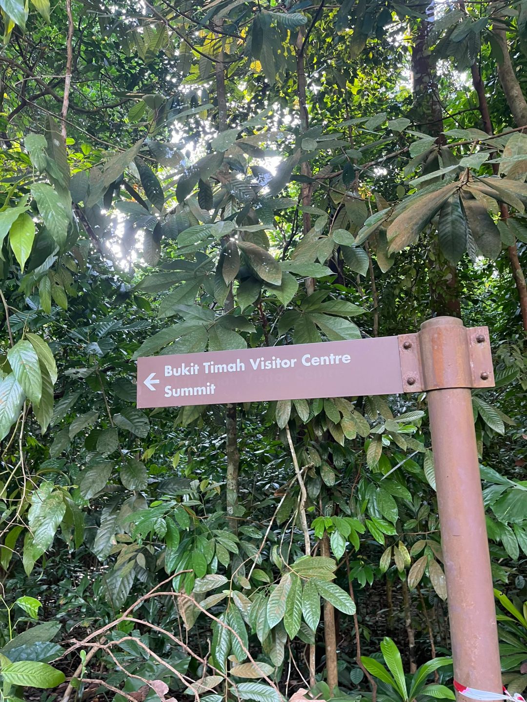 Singapore-Bukit Timah Hill | Singapore's highest mountain, fastest route to the summit