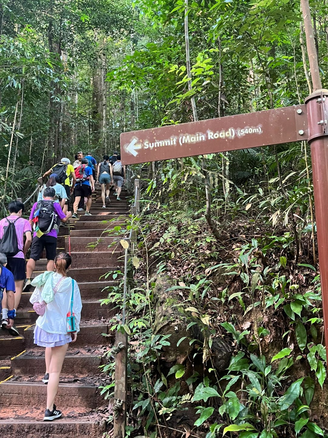 Singapore-Bukit Timah Hill | Singapore's highest mountain, fastest route to the summit