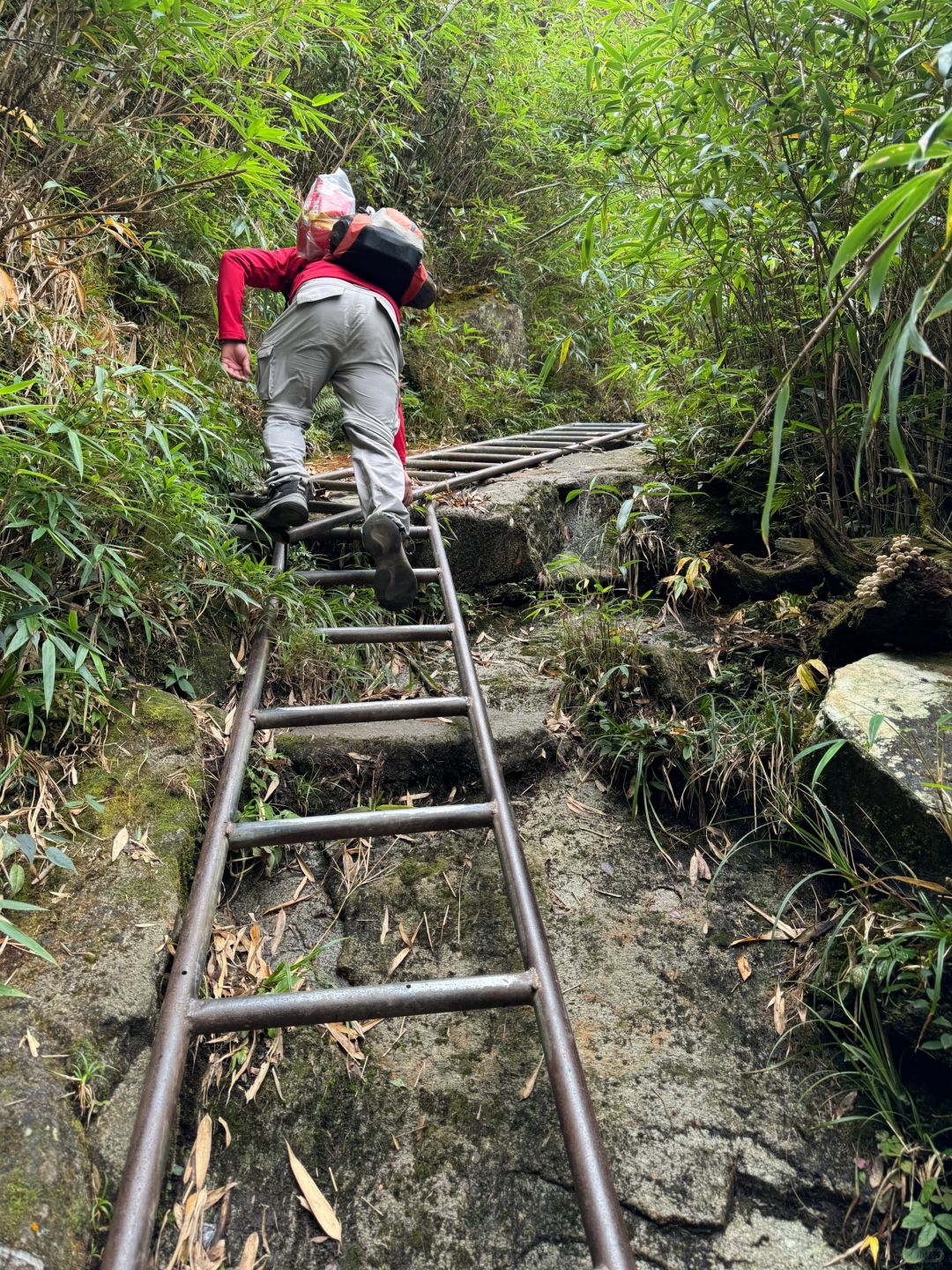 Hanoi-Fansipan, Sapa, Vietnam, the highest mountain in Southeast Asia, travel guide