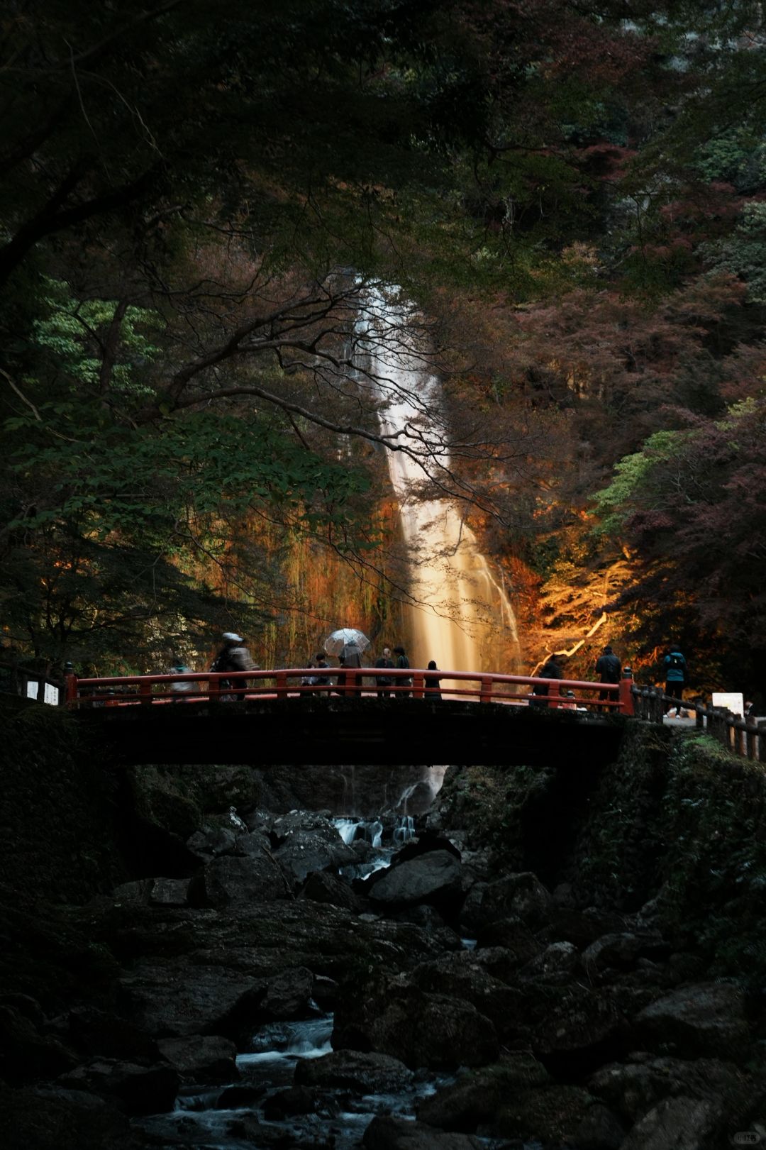 Osaka-Osaka Minoh Park, 🎄the beautiful scenery along the way is a feast for the eyes