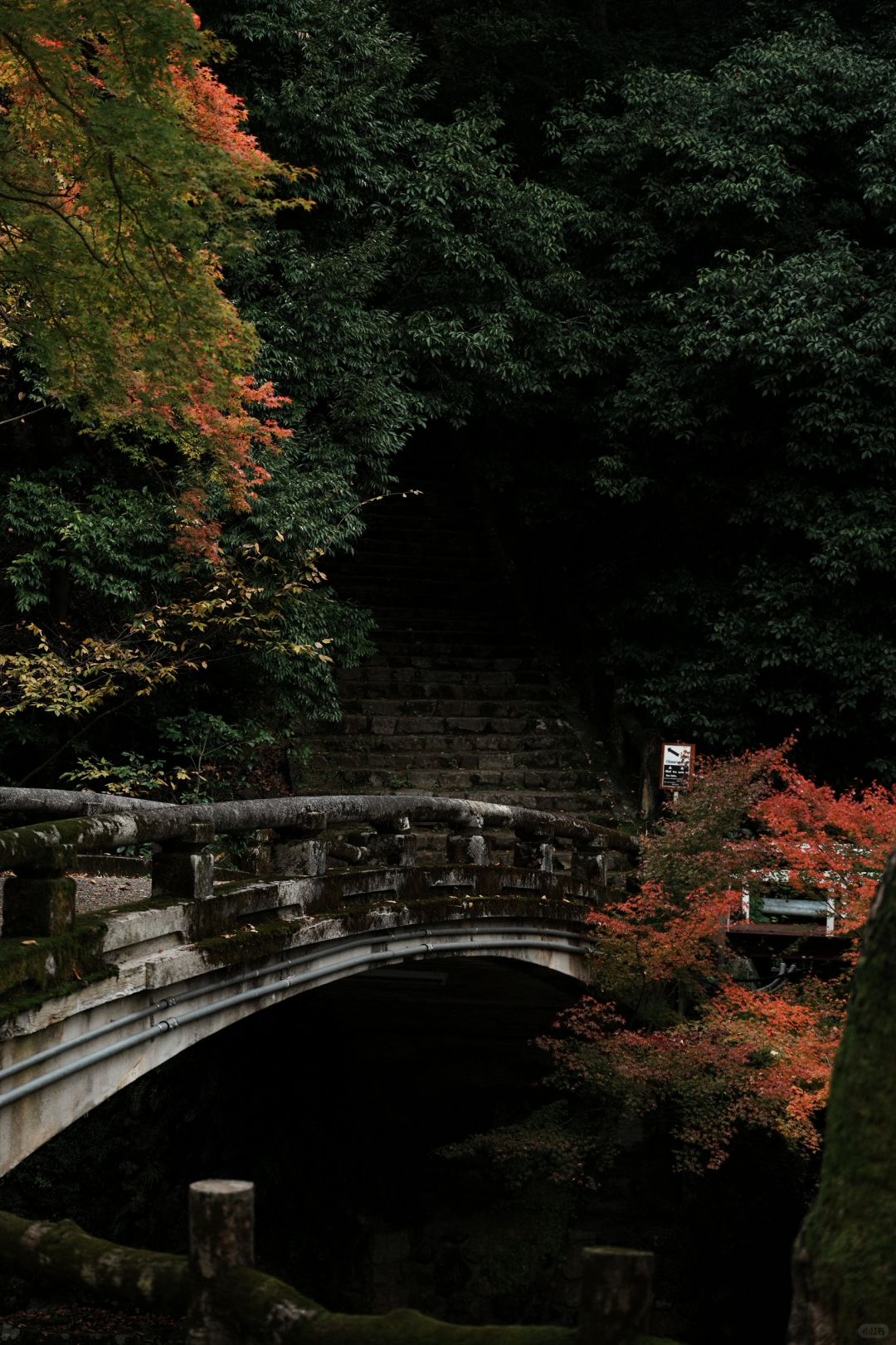 Osaka-Osaka Minoh Park, 🎄the beautiful scenery along the way is a feast for the eyes