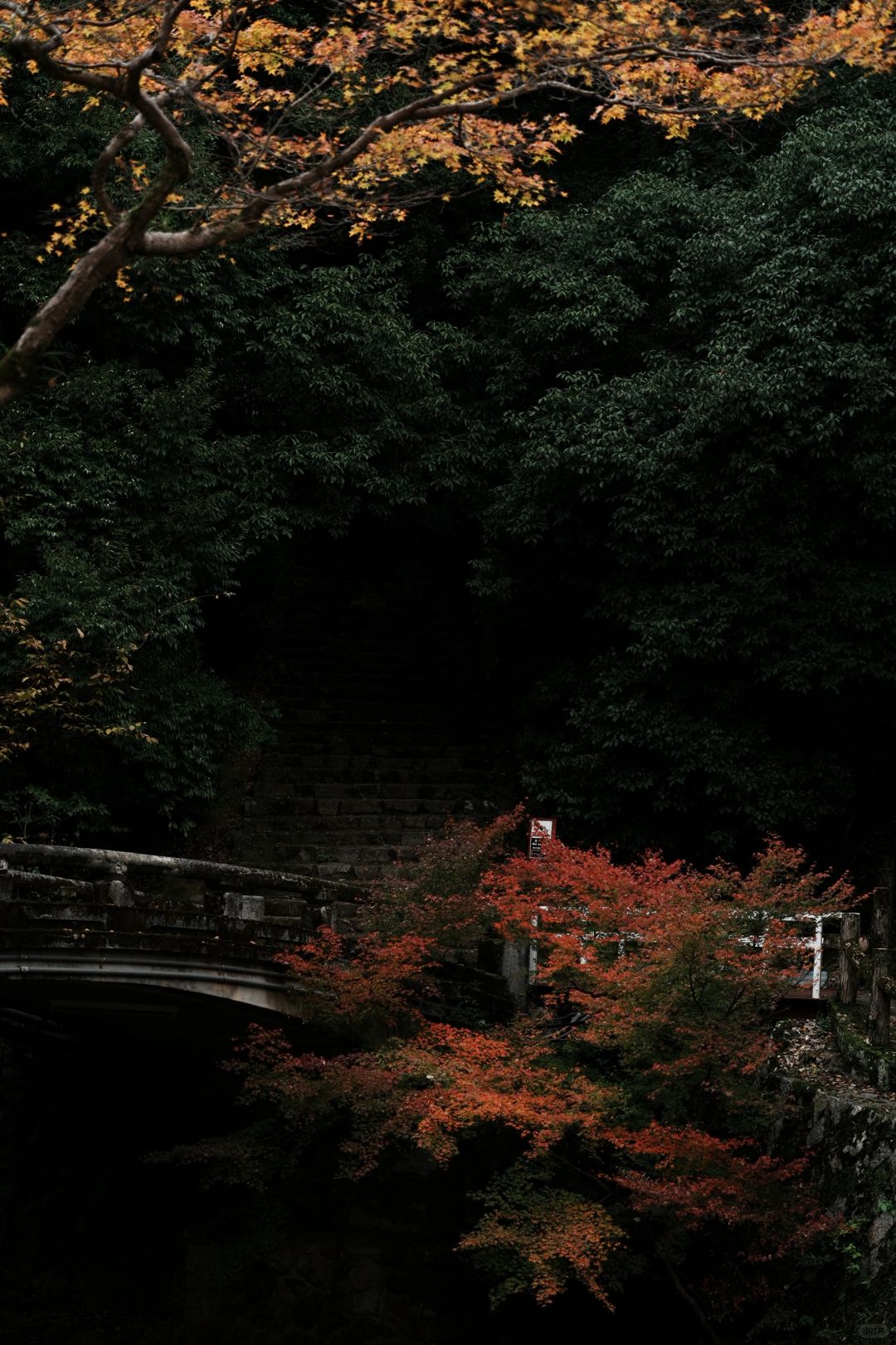 Osaka-Osaka Minoh Park, 🎄the beautiful scenery along the way is a feast for the eyes