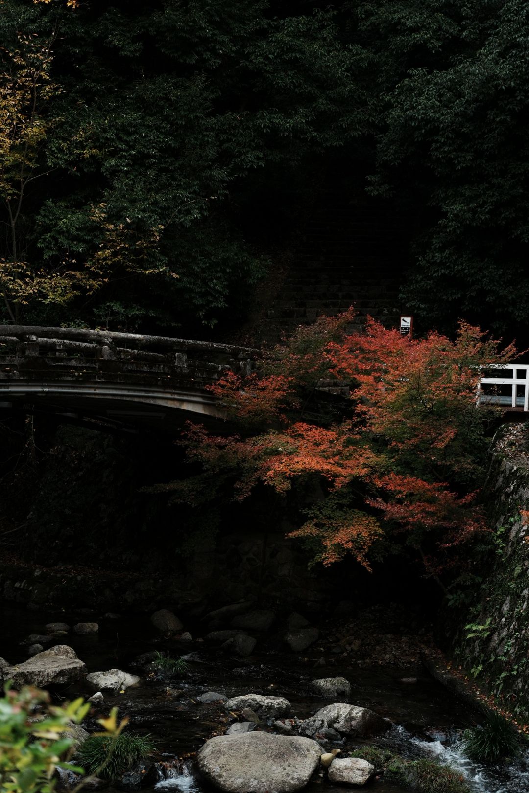 Osaka-Osaka Minoh Park, 🎄the beautiful scenery along the way is a feast for the eyes